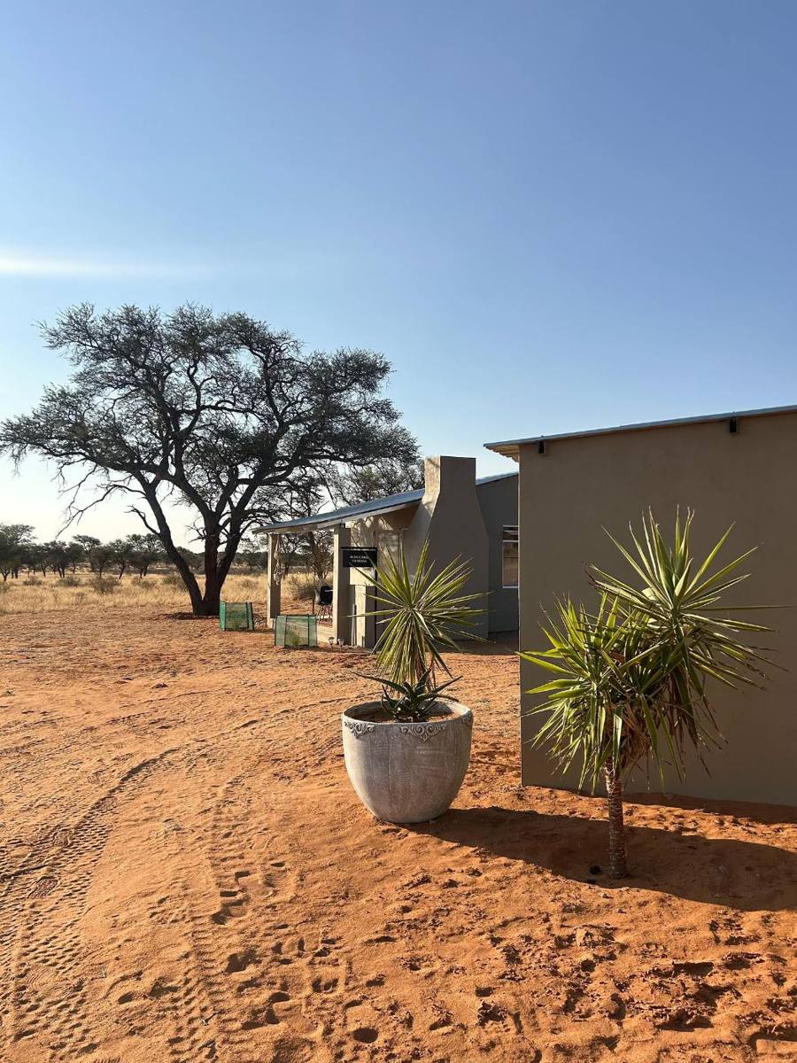 The two cabins under a camel thorn tree, with aloes planted in front