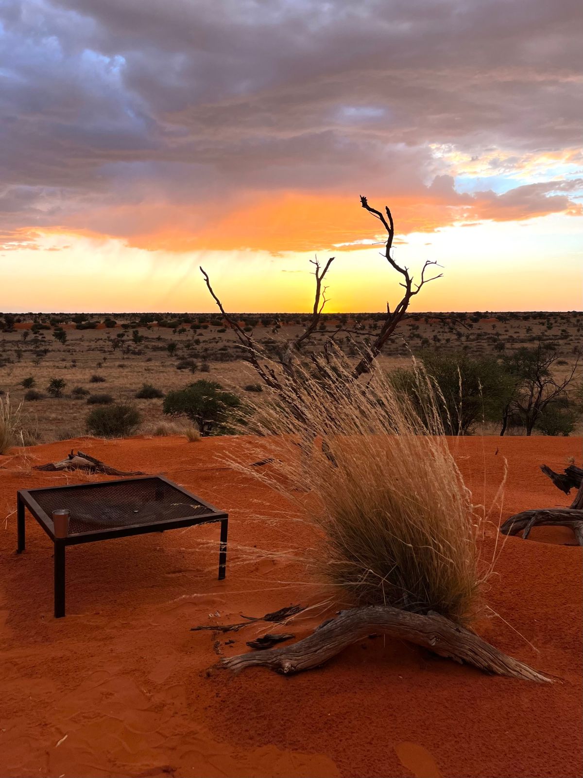 Sunset breaking through rain clouds over the Kalahari, seen from the top of a red dune with a fire grid in the foreground